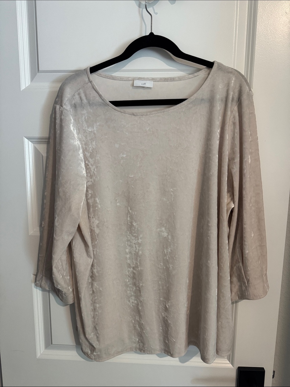 J. Jill Plush Velvet Scoop Neck Long Sleeve Top - Light Beige